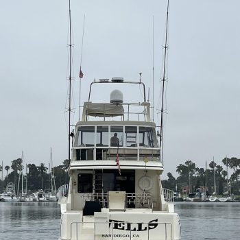 1999-mikelson-long-range-luxury-sportfisher-power-9869523-20250711121048158-1.jpg