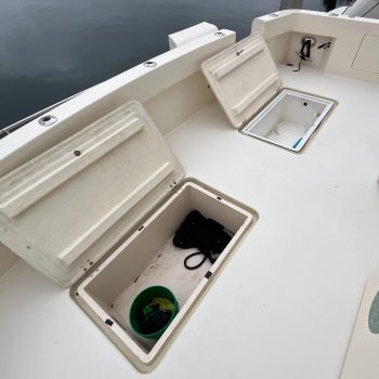1999-mikelson-long-range-luxury-sportfisher-power-9869523-20250711121149833-1.jpg