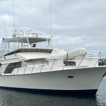 2019 Mikelson 50 Gen II Luxury Sportfisher