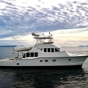 2019-mikelson-nomad-long-range-cruising-sportfish-power-9874719-20250716131435503-1.jpg