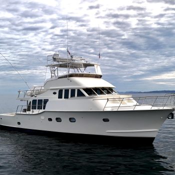 2019-mikelson-nomad-long-range-cruising-sportfish-power-9874719-20250716131438612-1.jpg