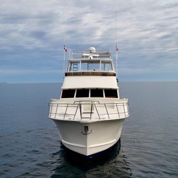 2019-mikelson-nomad-long-range-cruising-sportfish-power-9874719-20250716131440737-1.jpg
