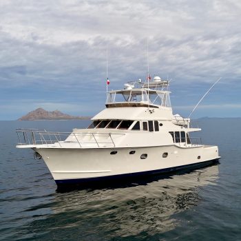 2019-mikelson-nomad-long-range-cruising-sportfish-power-9874719-20250716131443545-1.jpg