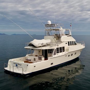 2019-mikelson-nomad-long-range-cruising-sportfish-power-9874719-20250716131519976-1.jpg