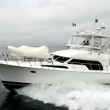 2020-mikelson-generation-ii-sportfisher-power-9867893-20250710095938078-1