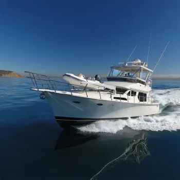 6629749_20180307123915846_1_XLARGE copy 2