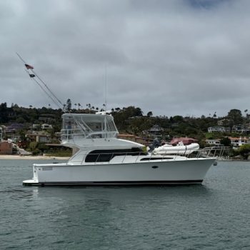 IMG_4595